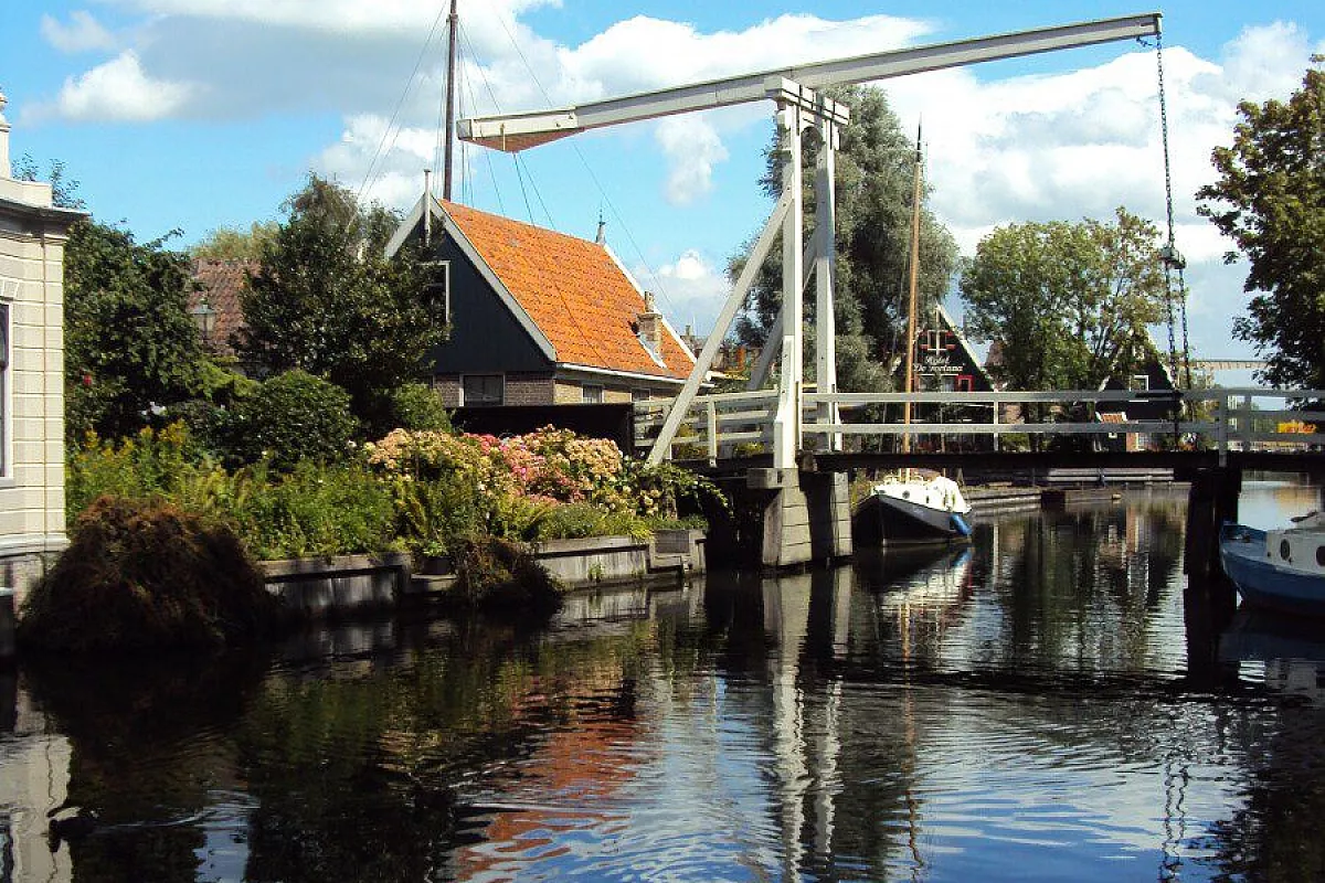 edam