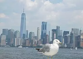 turistipercaso filadelfia-p2ym4