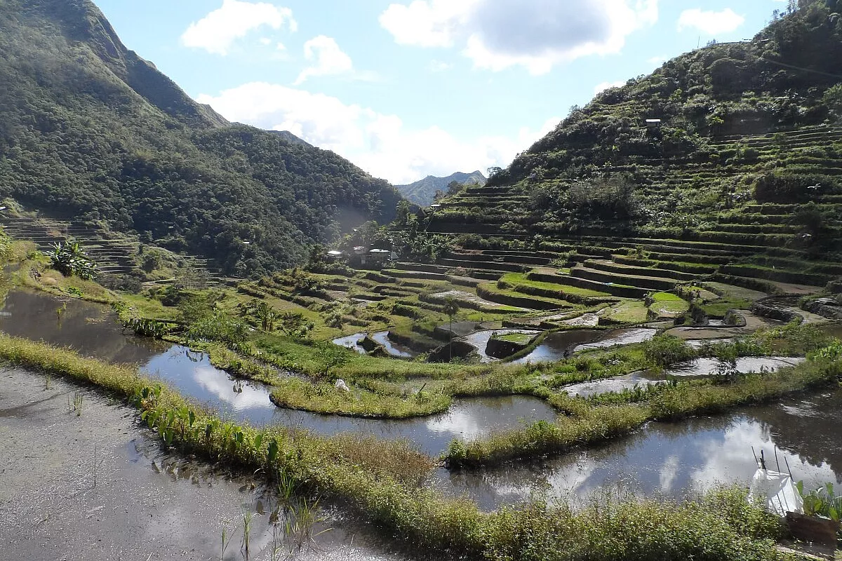 Filippine - Le splendide risaie terrazzate di Batad