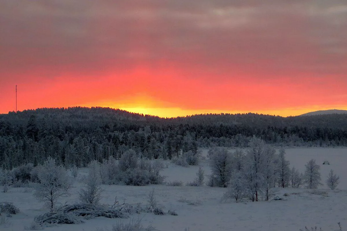 Inari 1