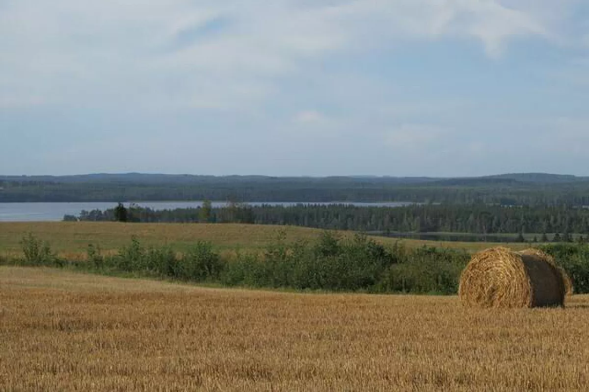 VARKAUS