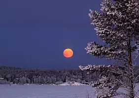 turistipercaso finlandia-tf8dv