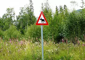 turistipercaso fiordi-norvegesi-bxnuj