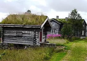 turistipercaso fiordi-norvegesi-cyugj