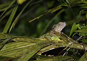 turistipercaso florida-a92qu