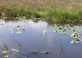 turistipercaso florida-hmayx