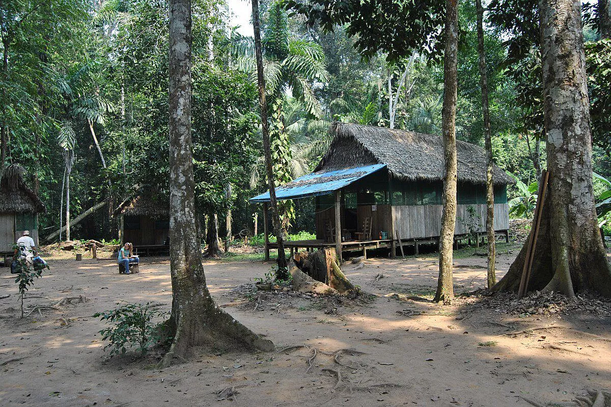 Lodge nella Selva : Madidi