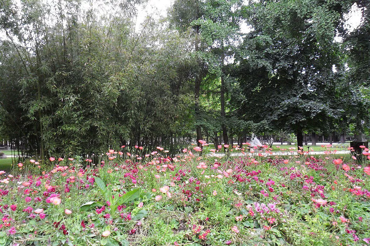 Alla scoperta dei vulcani dell’Auvergne