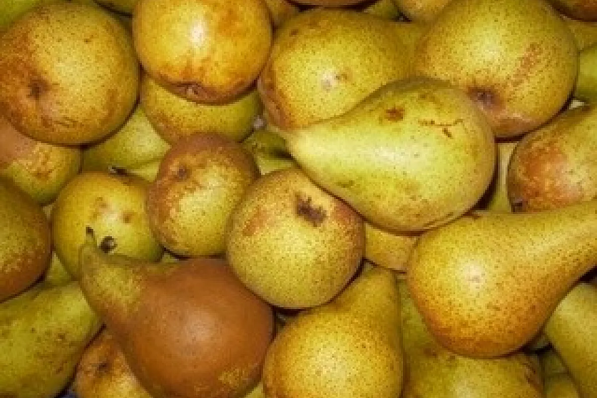 Tatin di pere salata