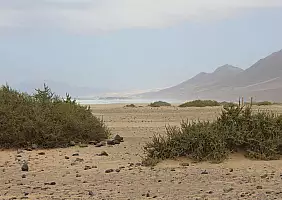 turistipercaso fuerteventura-b6uqz