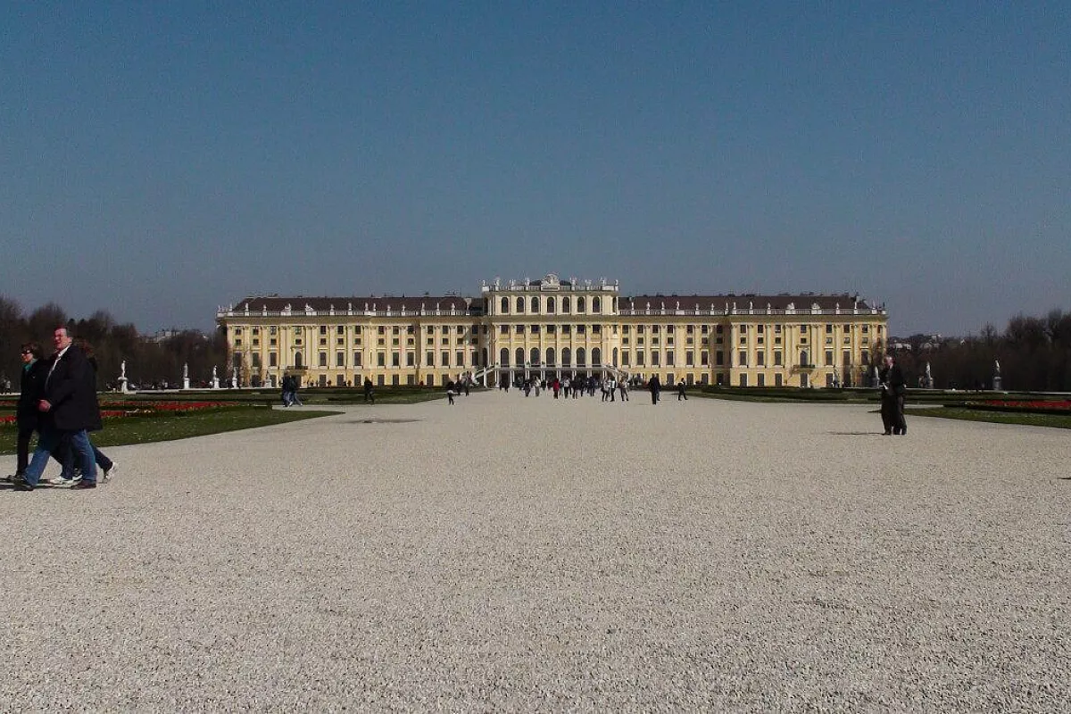 sassonia, cracovia, auschwitz e vienna: 3.200 km da leoni!