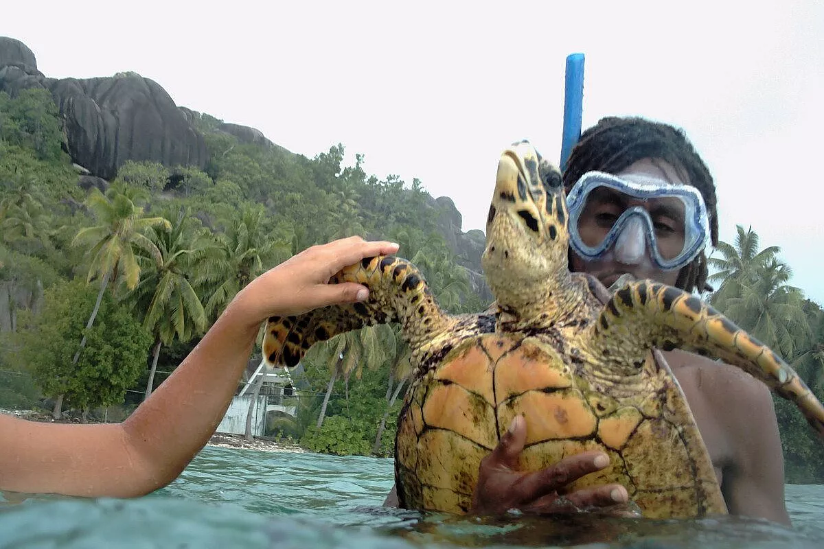 Turisti, rispettate le seychelles!