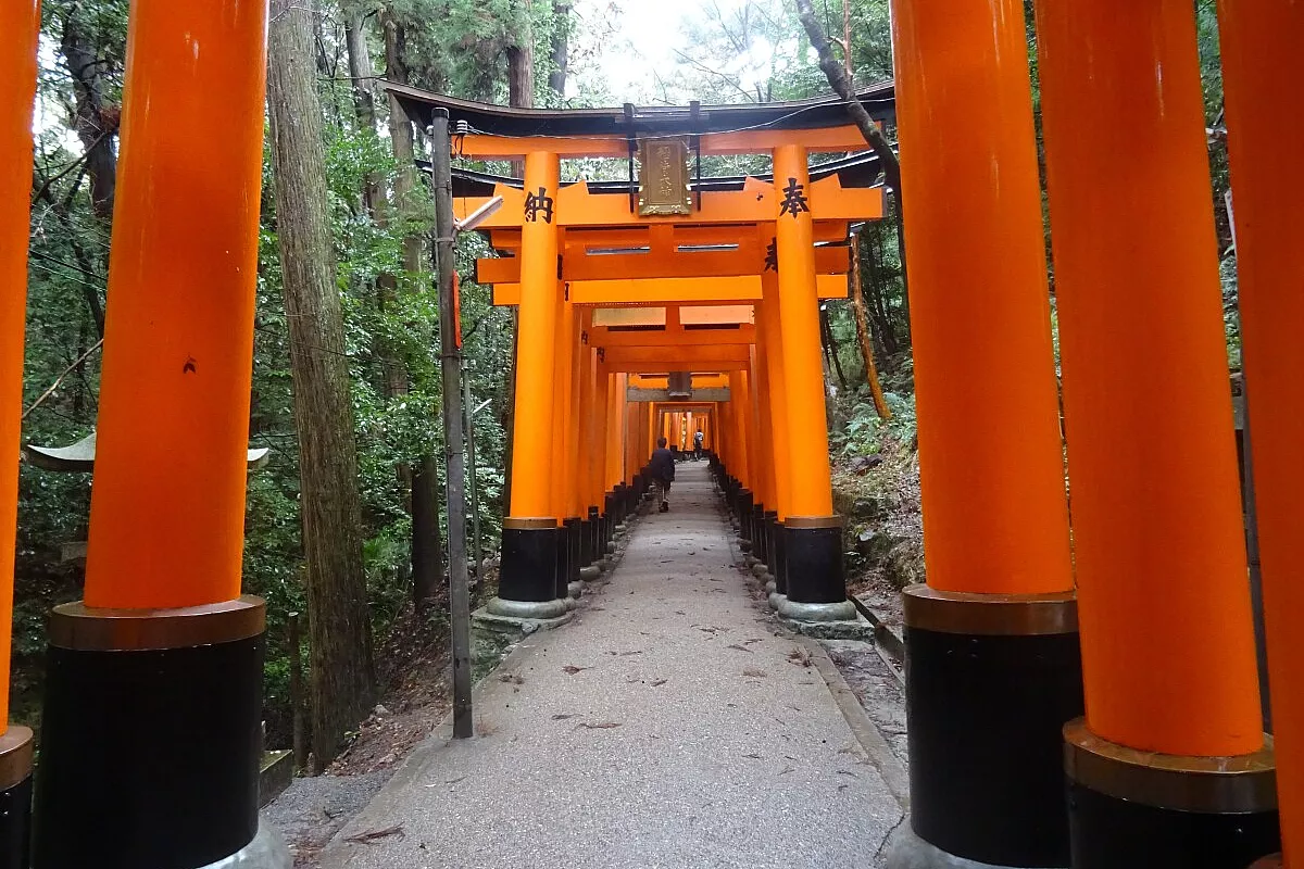 Fushimi Inari un sogno giapponese tra fortuna e natura