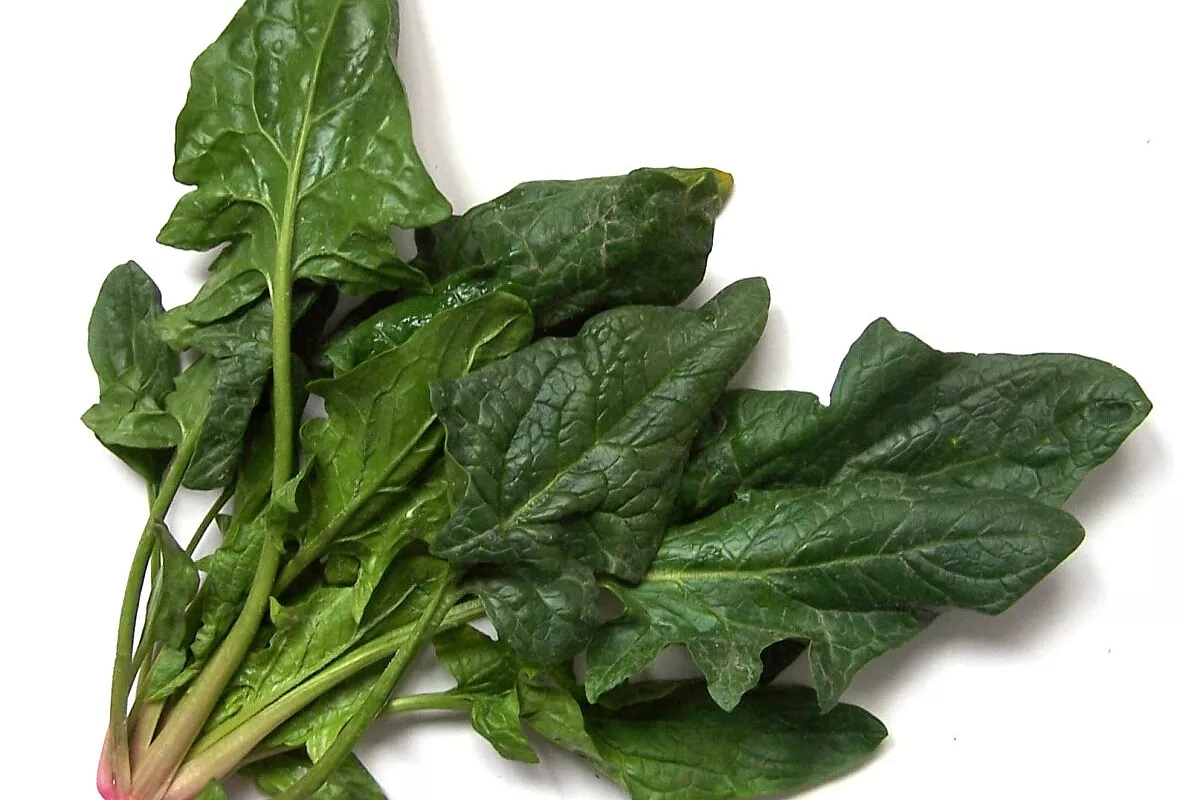 Corone di spinaci con zenzero