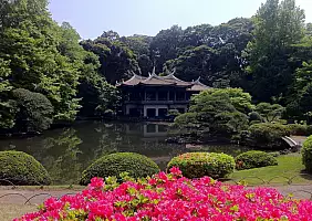 turistipercaso giappone-hpyu1