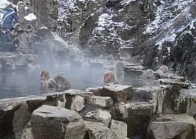 turistipercaso giappone-py9q9