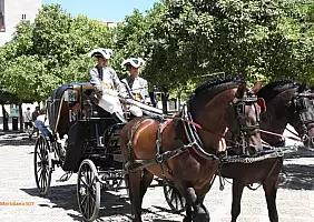 turistipercaso giralda-h6nry