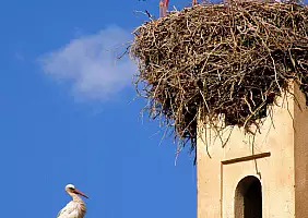 turistipercaso goledeltodra-tabb4