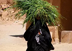 turistipercaso goledeltodra-uqqw6