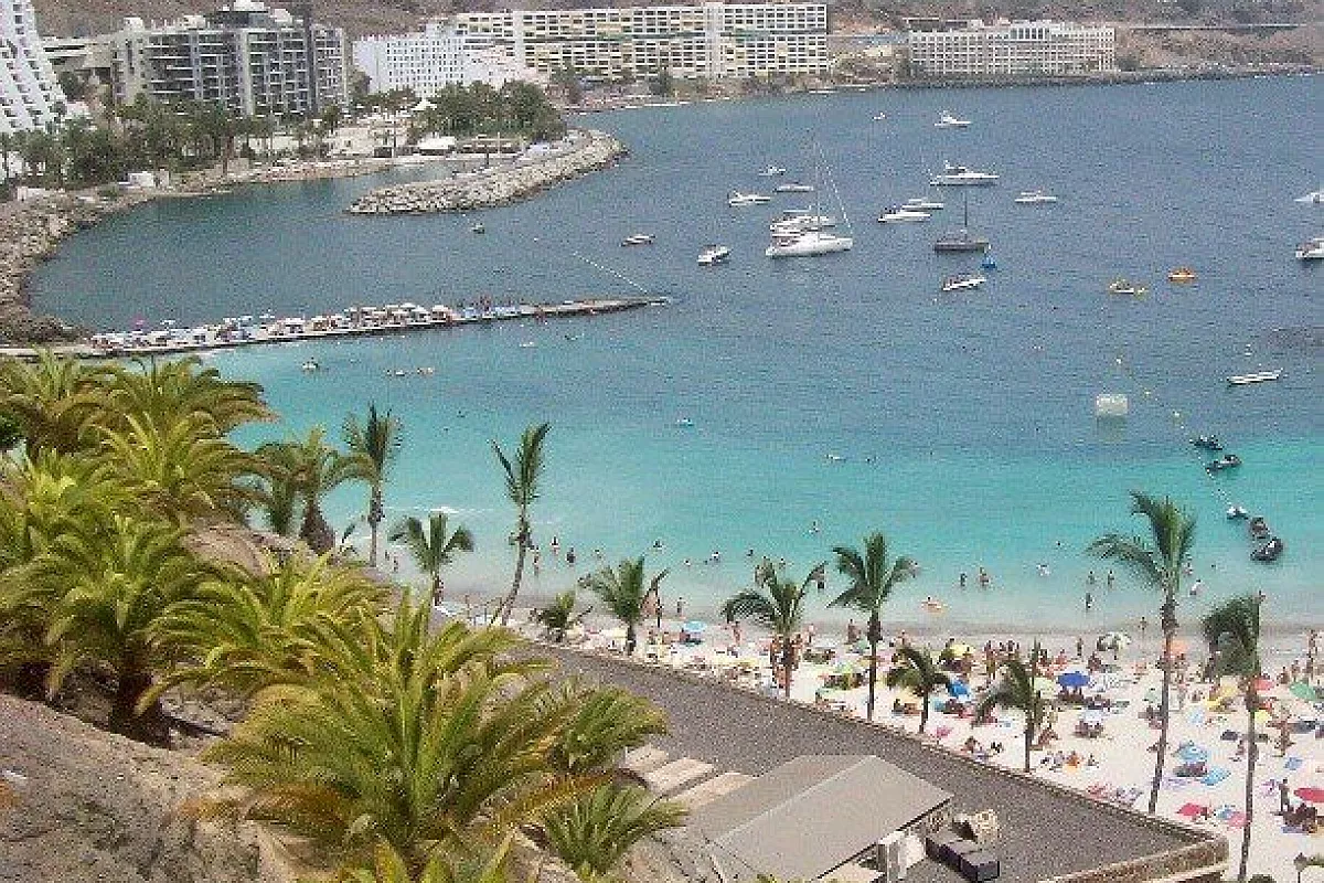 Canarie a Natale