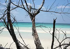 turistipercaso grand-bahama-cbjt8