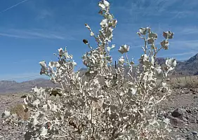 turistipercaso grand-canyon-6d2e9