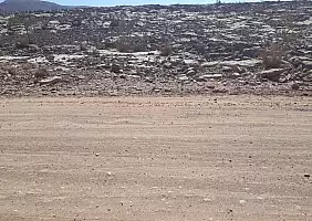 turistipercaso grand-canyon-natura-r5c8a