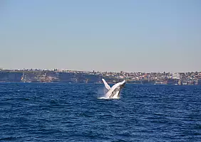 turistipercaso great-ocean-road-k1zhd