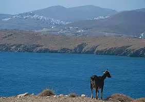 turistipercaso grecia-gw2w3
