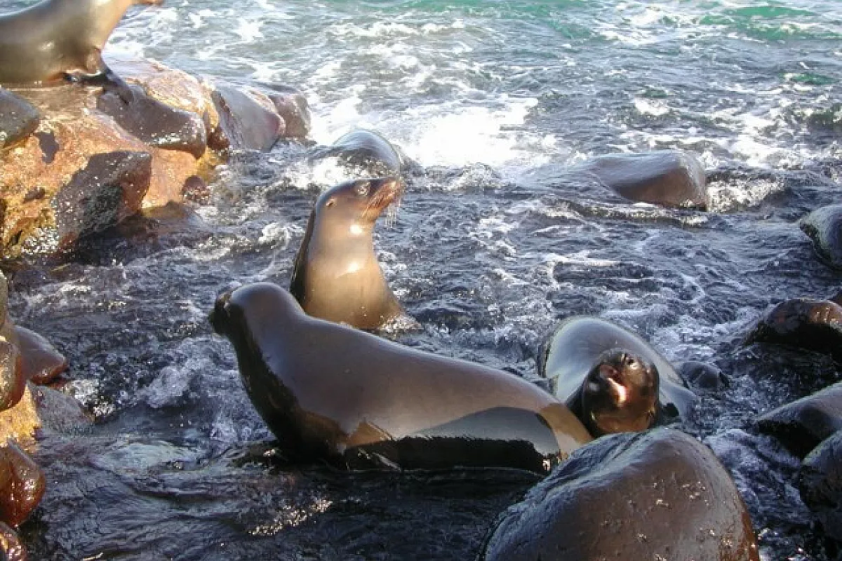 Nel mar Egeo