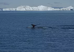 turistipercaso groenlandia-1jws4
