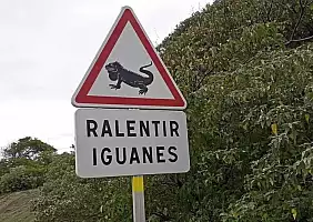 turistipercaso guadalupa-pfnhv