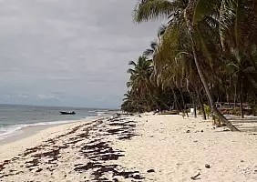 turistipercaso guadalupa-suexg
