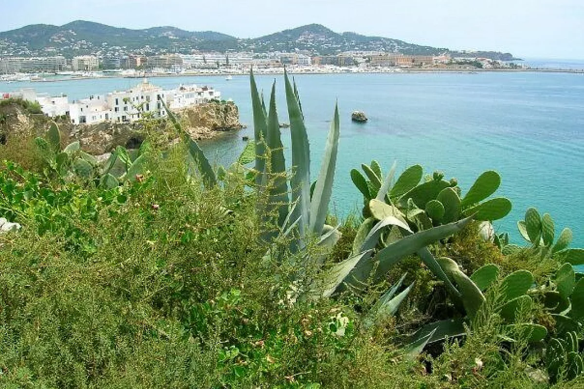 Ibiza, un viaggio per ritrovare la parte eccentrica e mondana di noi