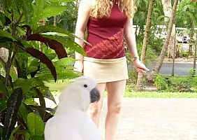 turistipercaso hamilton-island-85zkd