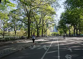 turistipercaso harlem-32qtc
