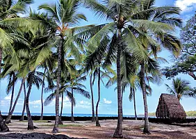 turistipercaso hawaii-7ry18