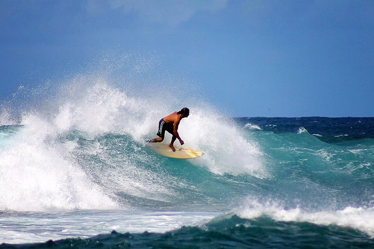 surf