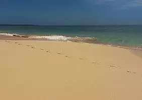turistipercaso hawaii-dzhn1
