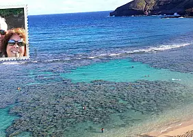 turistipercaso hawaii-mtg5d