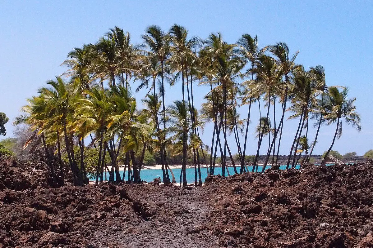 HAWAII: 4 ISOLE IN 3 SETTIMANE