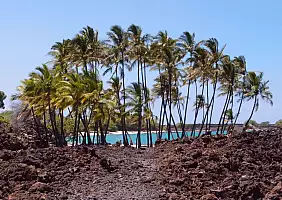turistipercaso hawaii-qwxqy