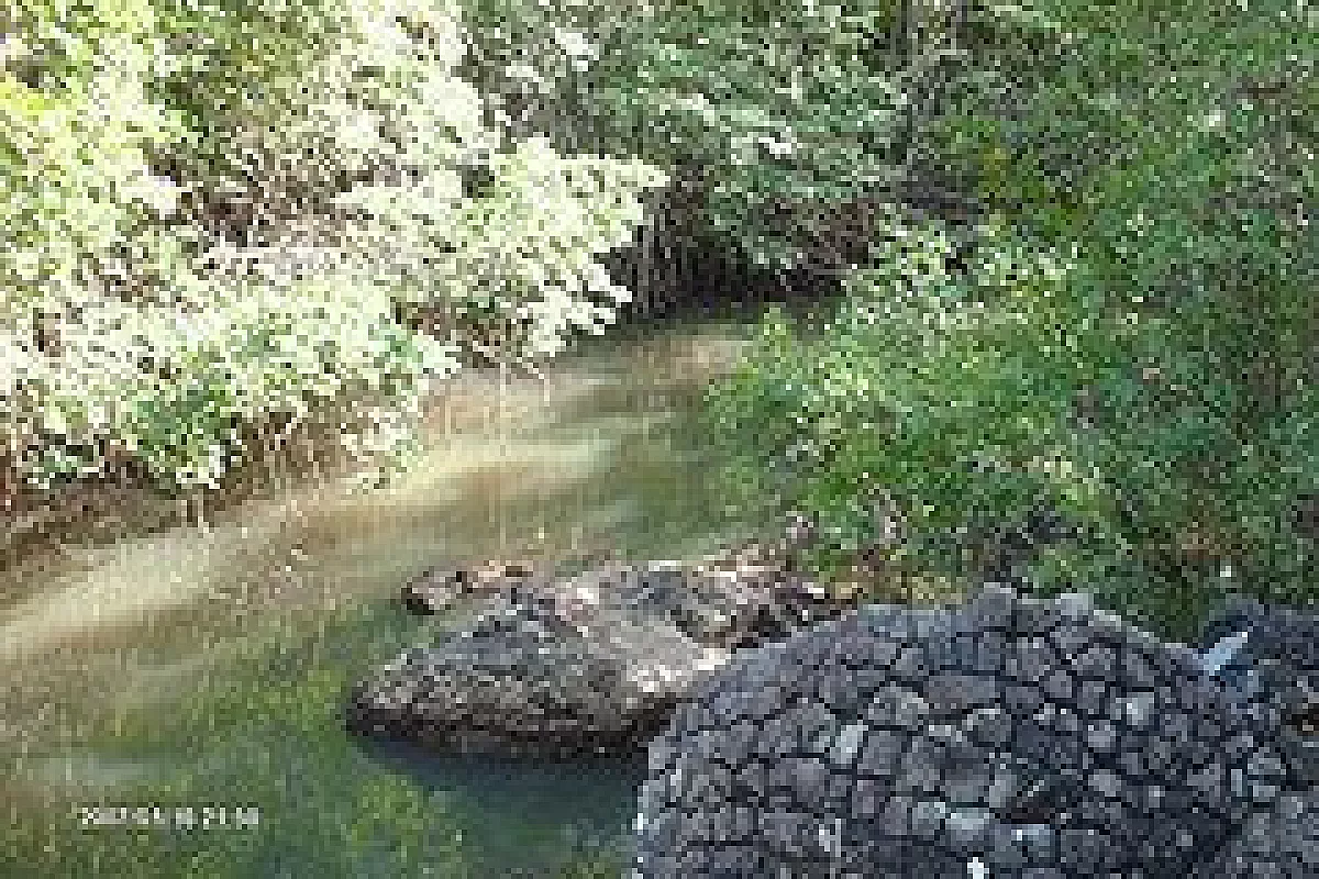 24 ore di relax tra Caldera & Boquete