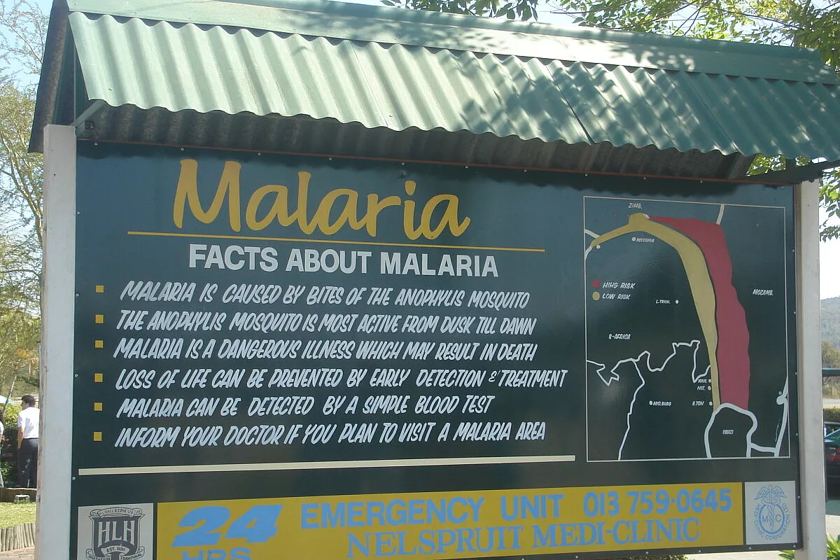 SUDAFRICA, ma siamo in Africa?