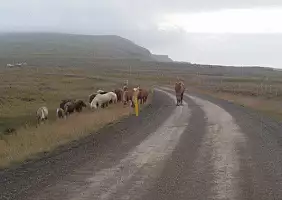 turistipercaso iceland-uhy9p