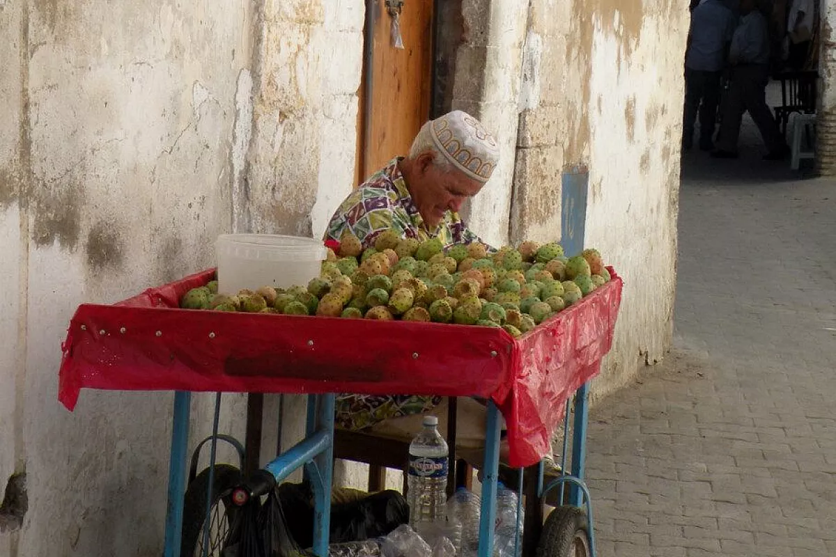 Alla scoperta della tunisia