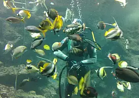 turistipercaso ile-de-france-ktn68