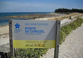 turistipercaso ile-de-france-njhb1