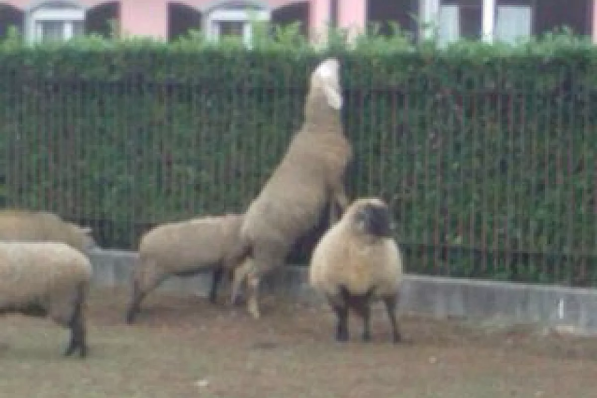Roma in 3 giorni 2