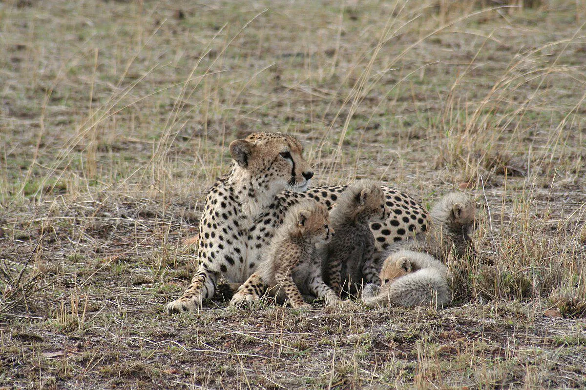 Kenya… Per sempre nel cuore